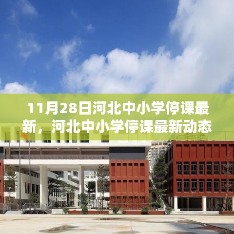 河北中小學(xué)停課最新動態(tài),11月28日的深刻印記
