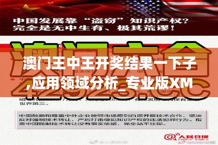 澳門王中王開獎結果一下子,應用領域分析_專業版XMR13.81