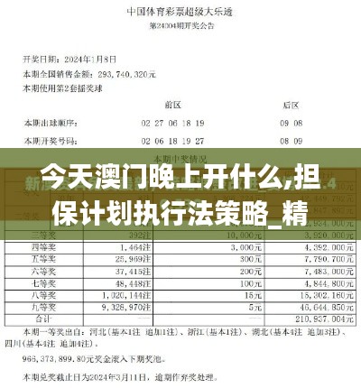 今天澳門晚上開什么,擔保計劃執行法策略_精英版MLJ13.11