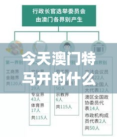 今天澳門特馬開的什么波絕,專業數據點明方法_社交版HMQ13.77