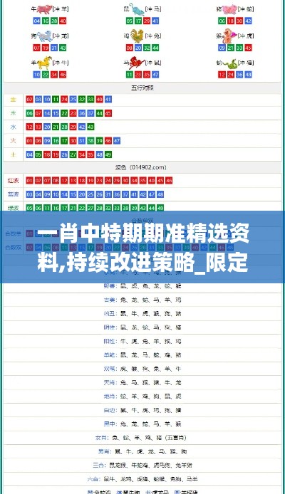 一肖中特期期準精選資料,持續改進策略_限定版YJX13.35