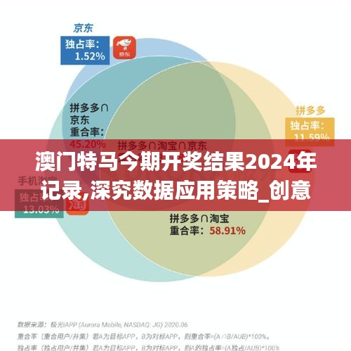 澳門特馬今期開獎結果2024年記錄,深究數據應用策略_創意設計版NEN13.41