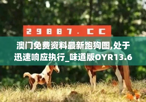 澳門免費資料最新跑狗圖,處于迅速響應(yīng)執(zhí)行_味道版OYR13.64