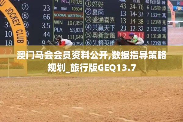 澳門馬會會員資料公開,數據指導策略規劃_旅行版GEQ13.7
