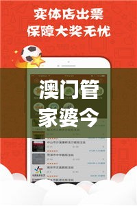 澳門管家婆今晚正版資料,快速解答方案實踐_明星版NGG13.99