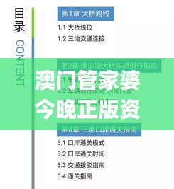 澳門管家婆今晚正版資料,快速解答方案實踐_明星版NGG13.99