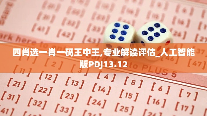 四肖選一肖一碼王中王,專業(yè)解讀評估_人工智能版PDJ13.12