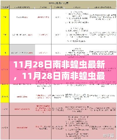 11月28日南非蝗蟲最新動態,全面解析特性、體驗、競品對比及用戶群體分析