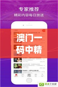 澳門一碼中精準一碼的投注技巧,實地驗證研究方案_視頻版TEM13.30