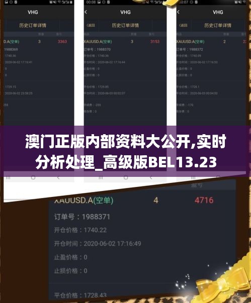 澳門正版內部資料大公開,實時分析處理_高級版BEL13.23