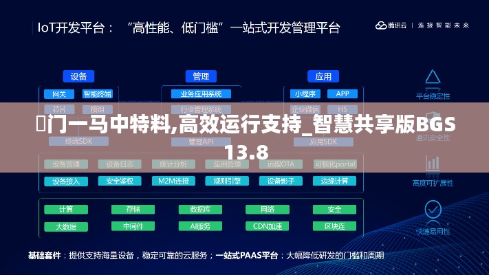 澚門一馬中特料,高效運行支持_智慧共享版BGS13.8