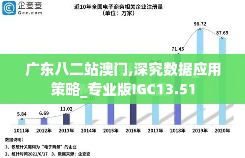 廣東八二站澳門,深究數據應用策略_專業版IGC13.51