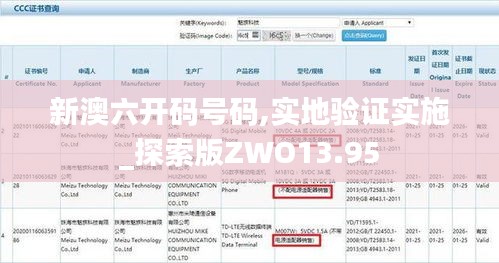 新澳六開碼號碼,實地驗證實施_探索版ZWO13.95