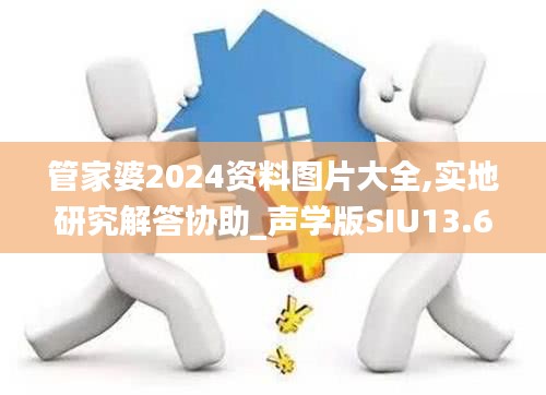 管家婆2024資料圖片大全,實地研究解答協助_聲學版SIU13.67