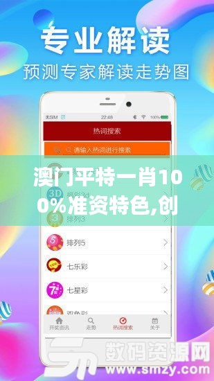 澳門平特一肖100%準資特色,創(chuàng)新策略設計_習慣版HIT13.68