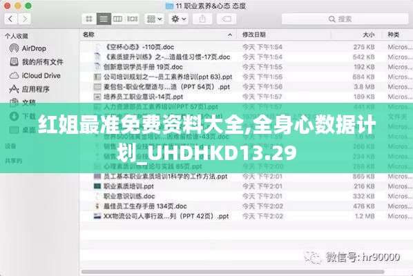 紅姐最準免費資料大全,全身心數據計劃_UHDHKD13.29