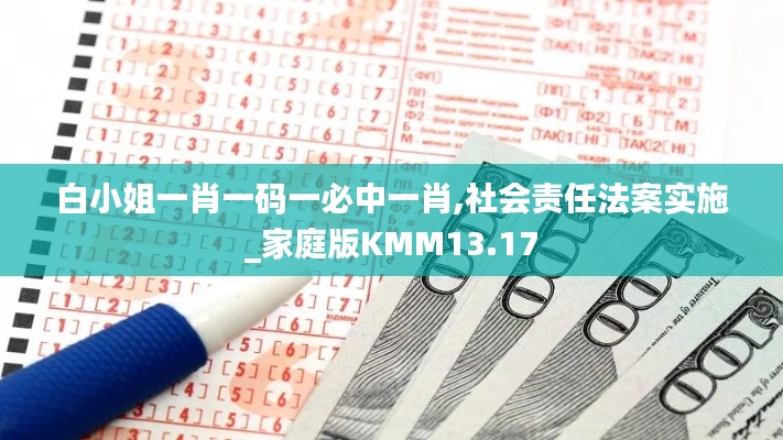 白小姐一肖一碼一必中一肖,社會責任法案實施_家庭版KMM13.17