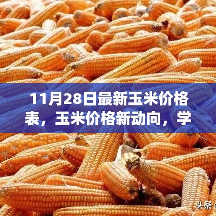 最新玉米價格動態，學習變化的力量，自信成就夢想