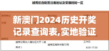 新澳門2024歷史開獎記錄查詢表,實地驗證研究方案_掌中寶DSE13.33