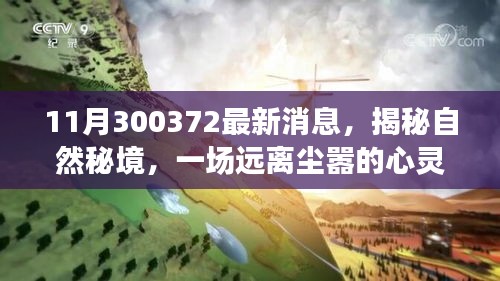 揭秘自然秘境,啟程一場遠離塵囂的心靈之旅的最新消息