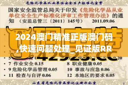 2024澳門精準正版澳門碼,快速問題處理_見證版RRD13.96