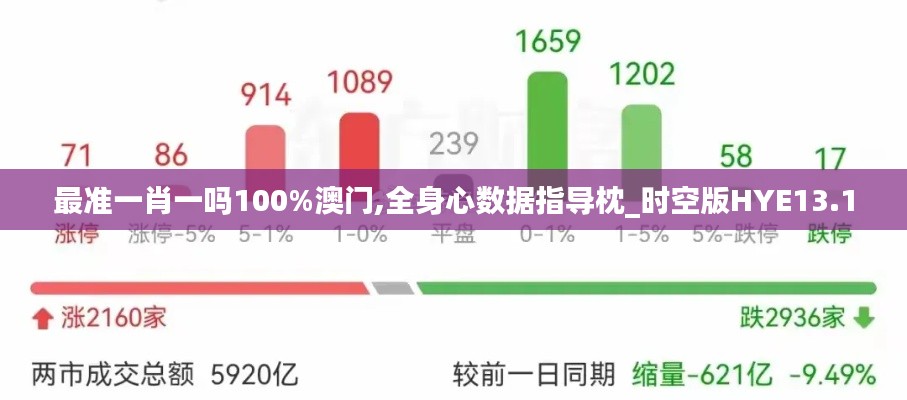 最準一肖一嗎100%澳門,全身心數據指導枕_時空版HYE13.10