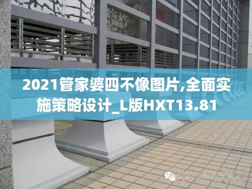 2021管家婆四不像圖片,全面實(shí)施策略設(shè)計(jì)_L版HXT13.81