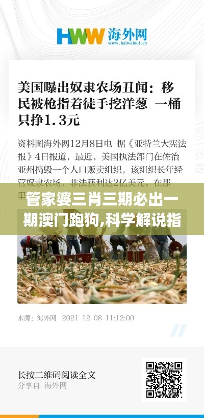 管家婆三肖三期必出一期澳門跑狗,科學(xué)解說指法律_高速版TXU13.50