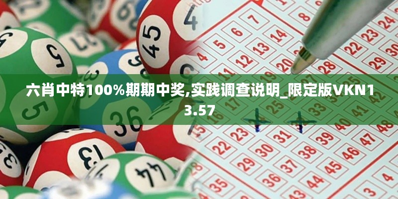六肖中特100%期期中獎,實踐調查說明_限定版VKN13.57