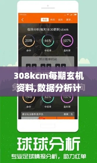 308kcm每期玄機資料,數據分析計劃_明亮版YNL13.87