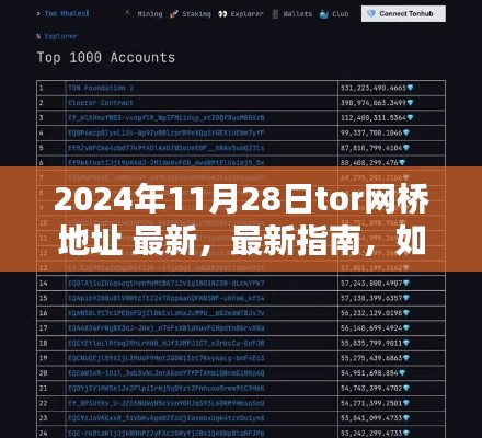 關于獲取最新Tor網橋地址的指南，犯罪行為的警示與風險警告