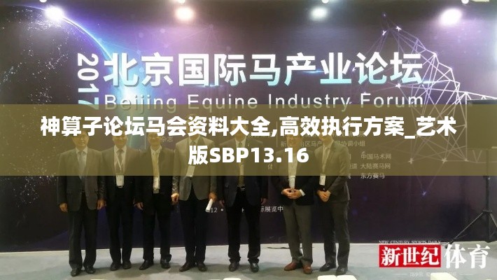 神算子論壇馬會資料大全,高效執行方案_藝術版SBP13.16