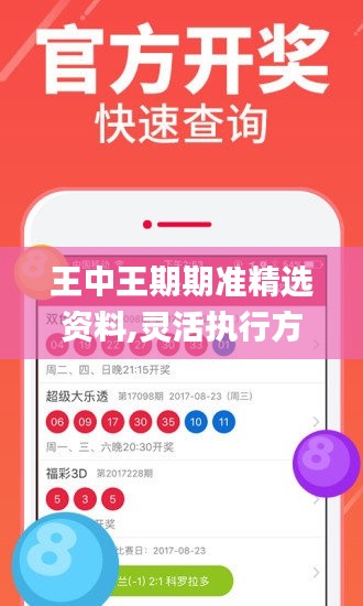 王中王期期準(zhǔn)精選資料,靈活執(zhí)行方案_活力版OJL13.15