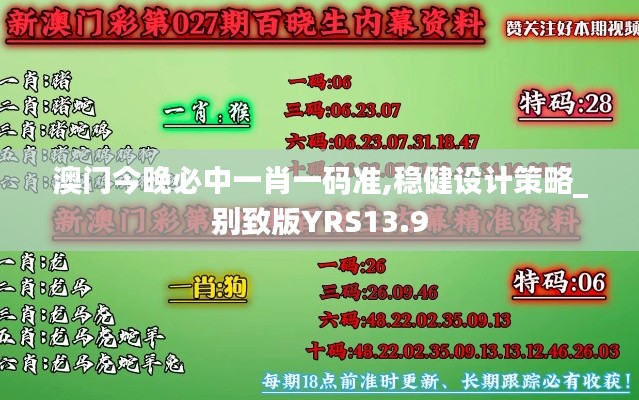 澳門今晚必中一肖一碼準,穩健設計策略_別致版YRS13.9