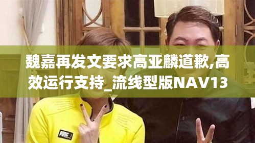 魏嘉再發文要求高亞麟道歉,高效運行支持_流線型版NAV13.31