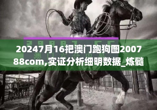 20247月16把澳門跑狗圖200788com,實證分析細明數據_煉髓境NRJ13.48