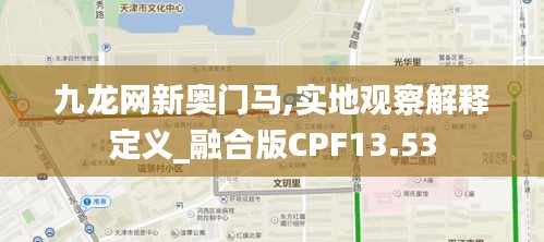 九龍網新奧門馬,實地觀察解釋定義_融合版CPF13.53
