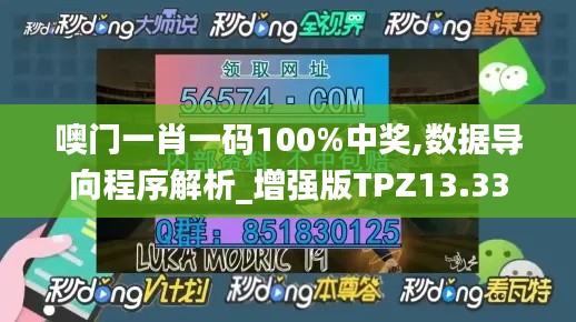 噢門一肖一碼100%中獎,數(shù)據(jù)導向程序解析_增強版TPZ13.33