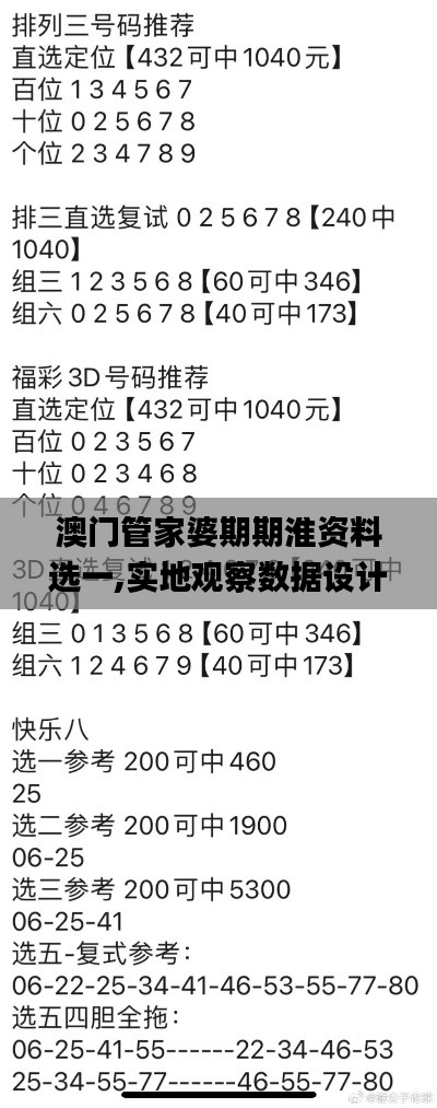 澳門管家婆期期淮資料選一,實地觀察數據設計_數字處理版IAW13.95