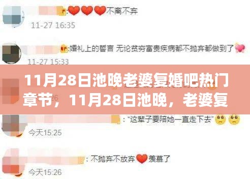 11月28日池晚與老婆復婚話題熱門章節解讀及情感案例分析