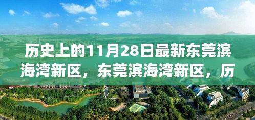 東莞濱海灣新區(qū)，歷史與未來(lái)的交匯點(diǎn)，探尋小巷獨(dú)特風(fēng)味當(dāng)日記實(shí)