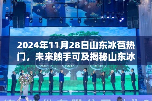 揭秘山東冰苞熱門(mén)高科技產(chǎn)品,科技之光照亮生活新篇章(2024年展望)