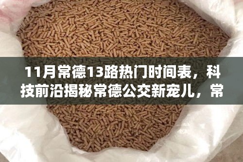 常德公交新寵兒揭秘,智能出行時代下的常德公交13路時刻表與智慧出行體驗