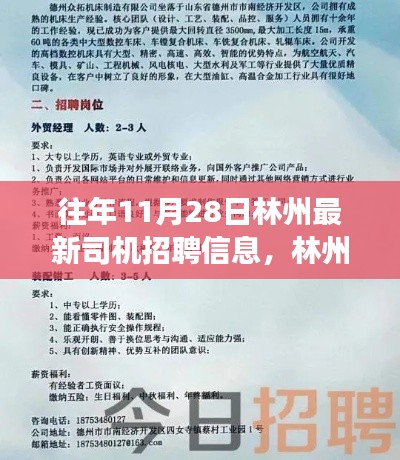 林州最新司機招聘動態,行業趨勢深度解讀與多方觀點匯集