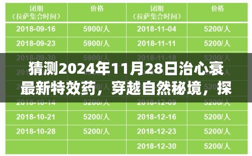 探尋未來奇跡,穿越自然秘境,揭秘心衰特效藥的心靈之旅(預(yù)計(jì)于2024年11月揭曉)