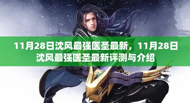11月28日沈風最強醫圣最新評測與介紹