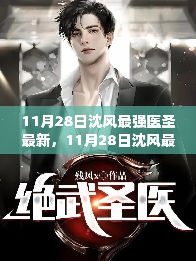 11月28日沈風最強醫圣最新評測與介紹