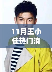 王小佳十一月熱門消息揭秘,多維解讀背后的故事