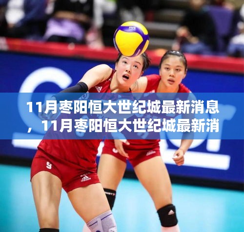 掌握最新動態,11月棗陽恒大世紀城最新消息獲取全攻略