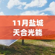 鹽城天合光能熱門招聘應聘全攻略，從入門到成功應聘的每一步解析